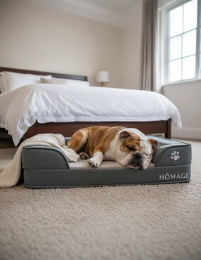 Cama para mascotas Homage
