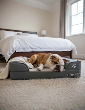 Cama para mascotas Homage