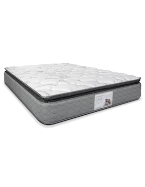 Colchón regular Suxess Bedding wish pocket